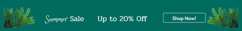 Summer Sale in Dubai